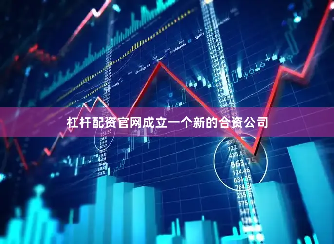 杠杆配资官网成立一个新的合资公司