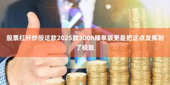 股票杠杆炒股这款2025款300h臻享版更是把这点发挥到了极致