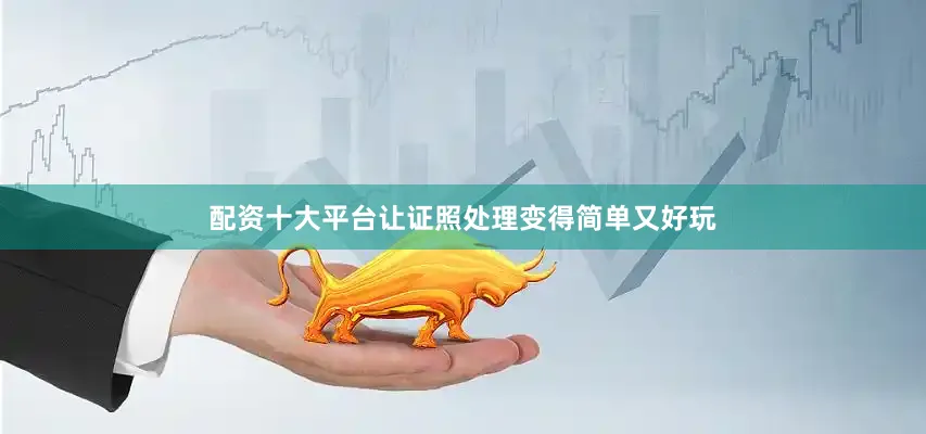 配资十大平台让证照处理变得简单又好玩