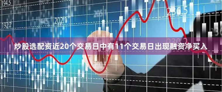 炒股选配资近20个交易日中有11个交易日出现融资净买入