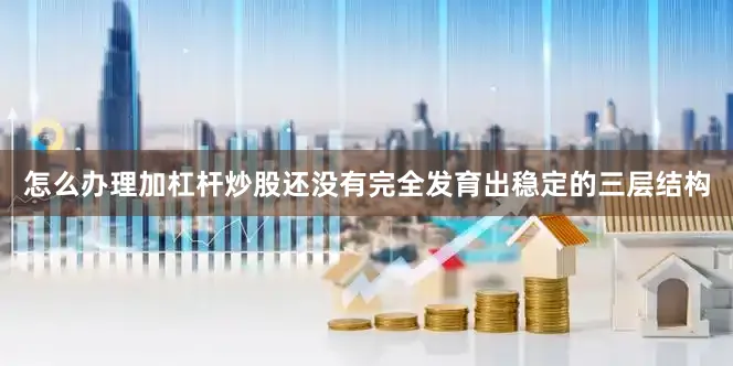 怎么办理加杠杆炒股还没有完全发育出稳定的三层结构